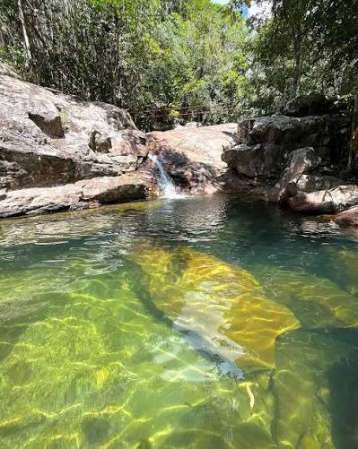 Cachoeira de águas cristalinas na Serra do Tepequém, em Roraima